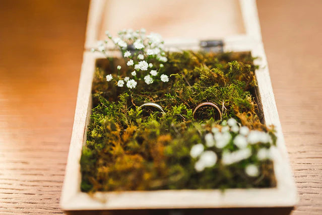 TOP SUSTAINABLE WEDDING IDEAS FOR 2023: CELEBRATE LOVE AND MOTHER EARTH TOGETHER